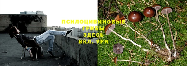 героин Аркадак