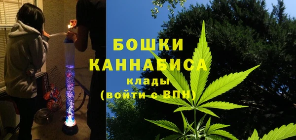 кокс Арсеньев