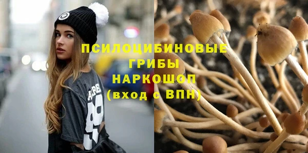 кокс Арсеньев